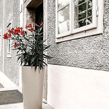 Schwarzes Haus Bed and breakfast 3*